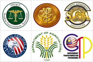 Custom Government Logo Design