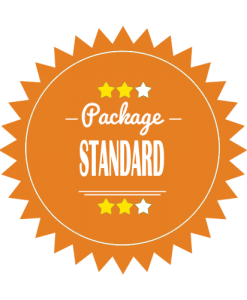 Standard Logo Design Package