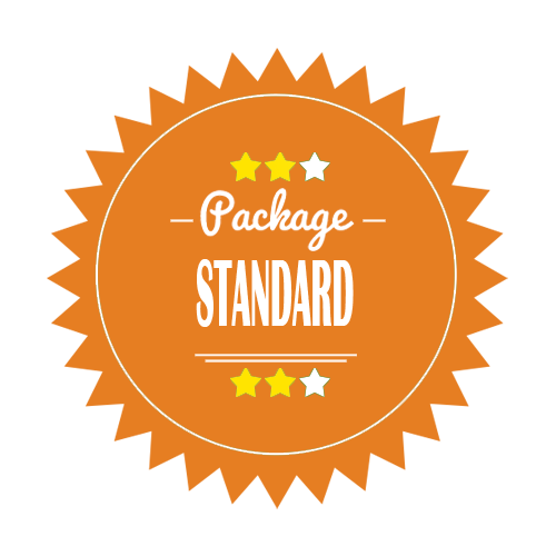 Standard Logo Design Package