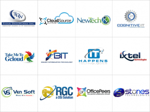 Custom Software Logo Design