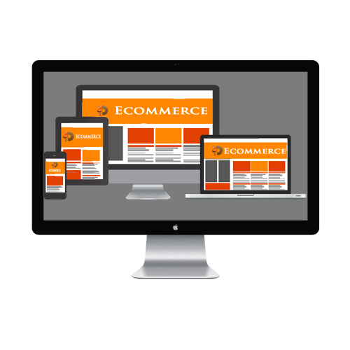 Ecommerce Website design Services
