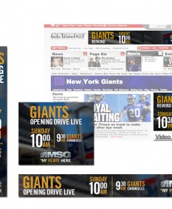 Professional Banner Design