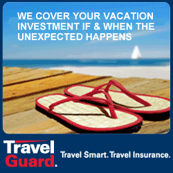travel insurance Animated Ad Banner Design Service
